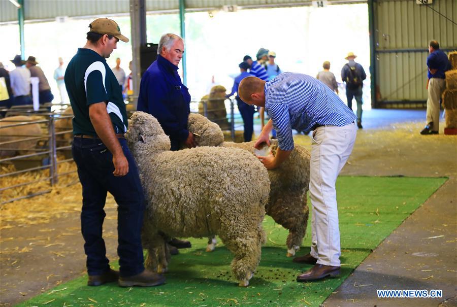 AUSTRALIA-CANBERRA-ROYAL CANBERRA SHOW