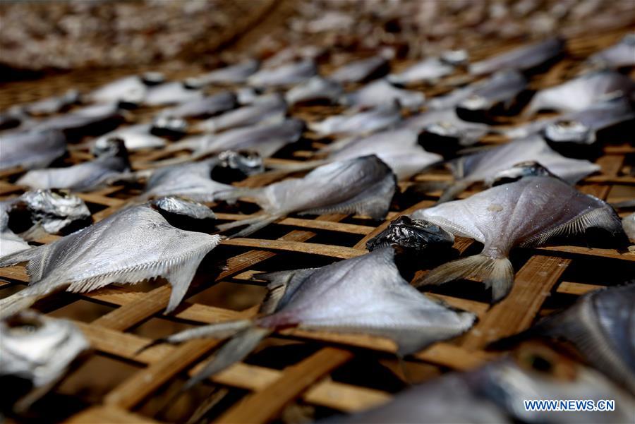 MYANMAR-THANBYUZAYAT-DRYING FISH