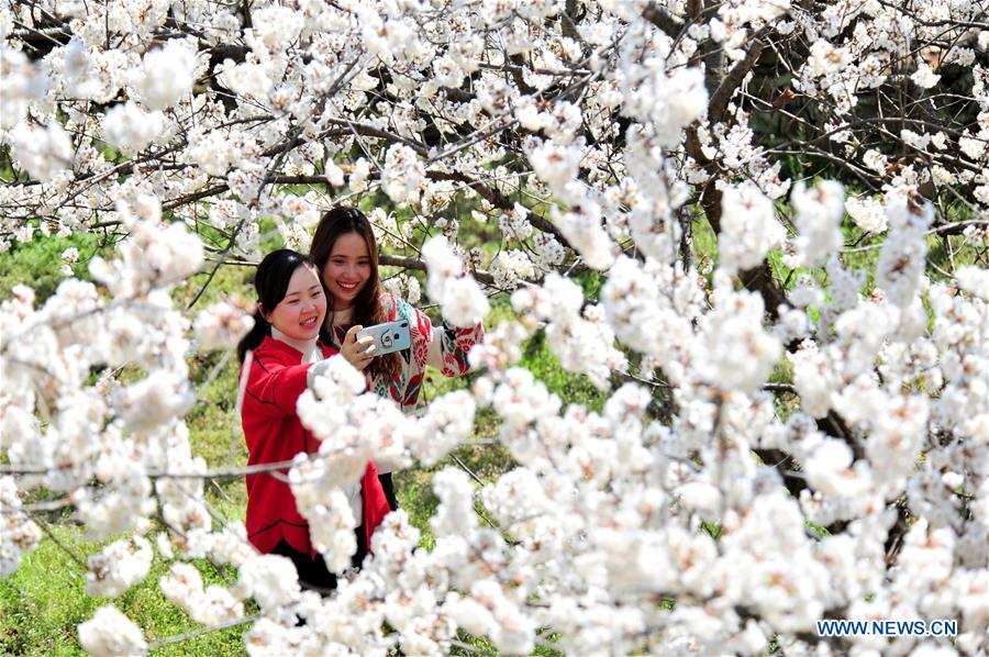 #CHINA-EARLY SPRING-FLOWERS (CN)