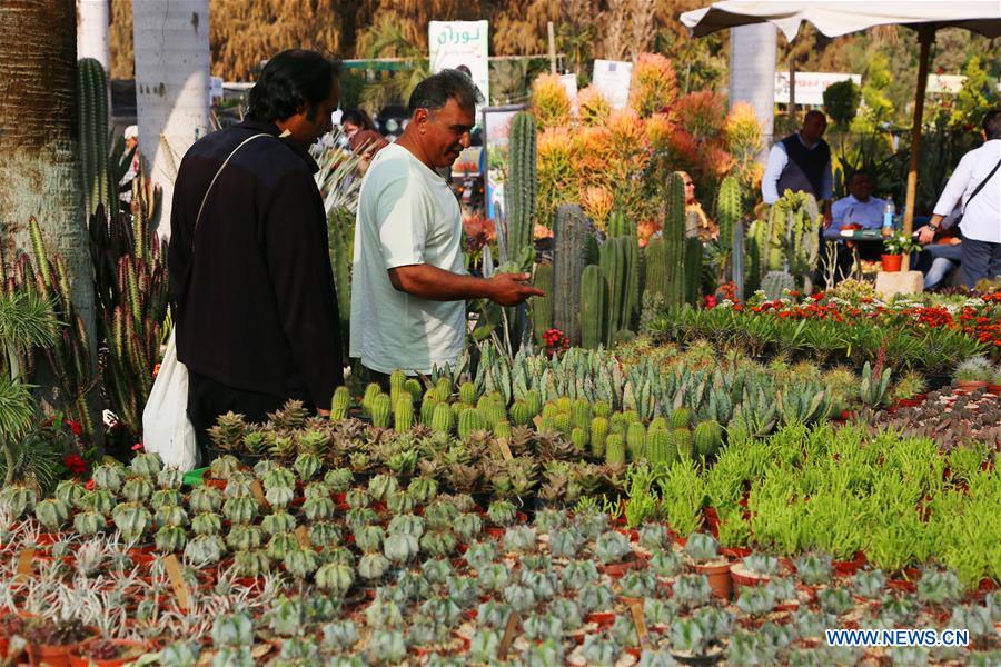 EGYPT-GIZA-FLOWER EXHIBITION