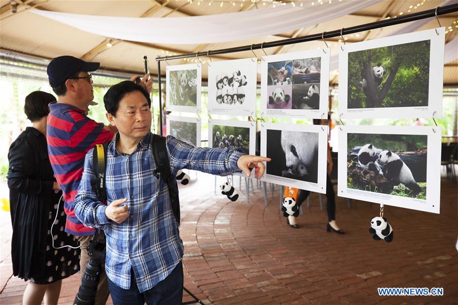 AUSTRALIA-ADELAIDE-CHINESE PHOTOGRAPHER-EXHIBITION