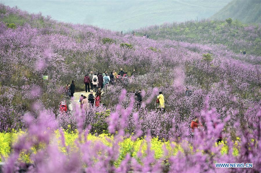 # CHINA-SPRING-SCENERY (CN)