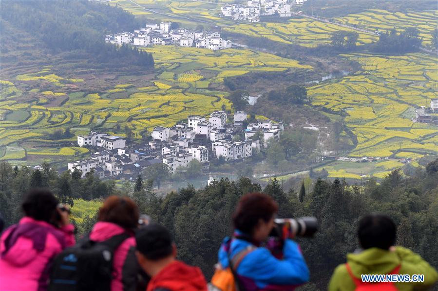 CHINA-JIANGXI-COLE FLOWER FIELDS (CN)