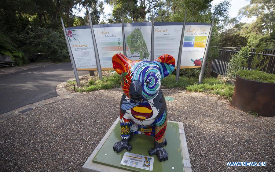 AUSTRALIA-CANBERRA-NATIONAL BOTANIC GARDENS-KOALA STATUE