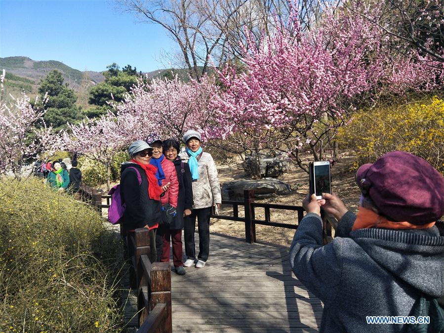 (Beijingcandid)CHINA-BEIJING-SPRING (CN)