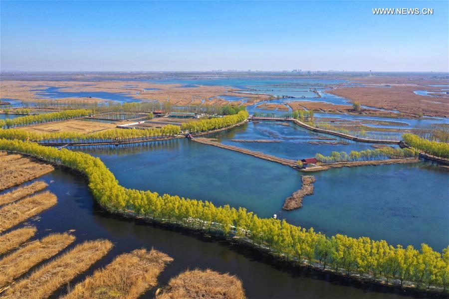 Xinhua Headlines: China to start wide-ranging construction at Xiongan New Area