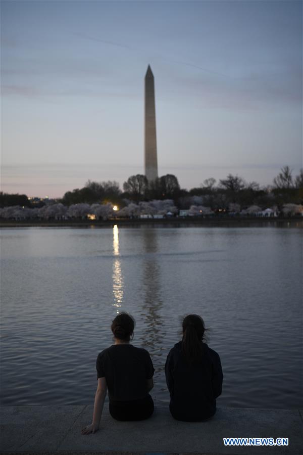 U.S.-WASHINGTON D.C.-CHERRY BLOSSOM