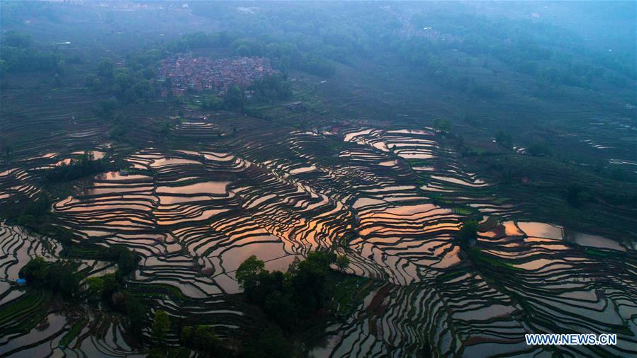 CHINA-YUNNAN-HANI TERRACED FIELDS-VIEWS (CN)