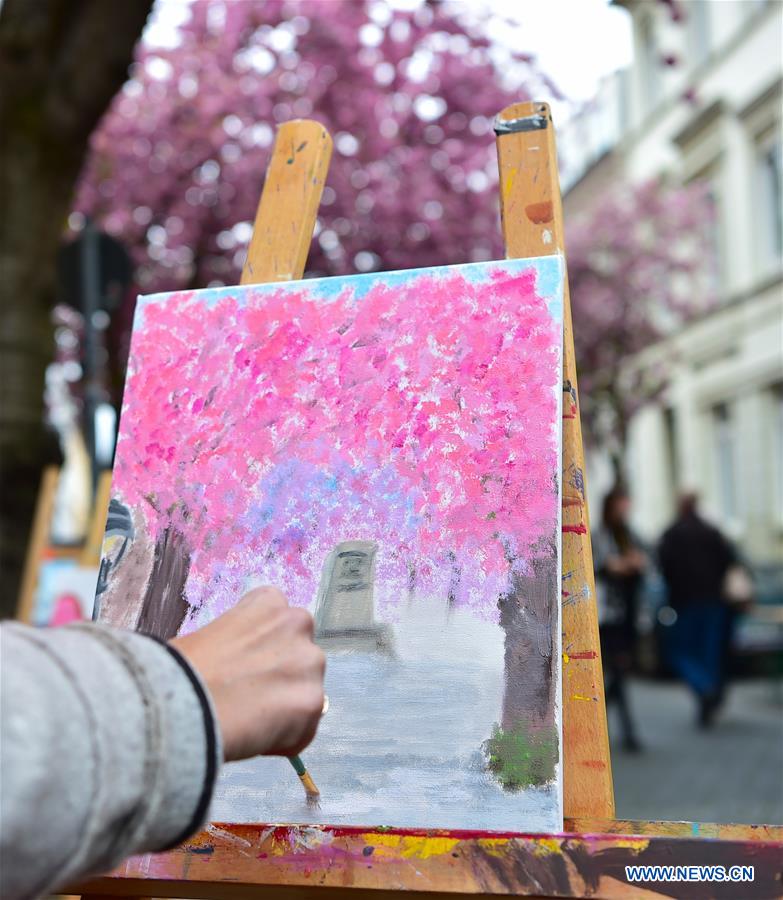 GERMANY-BONN-CHERRY-BLOSSOM