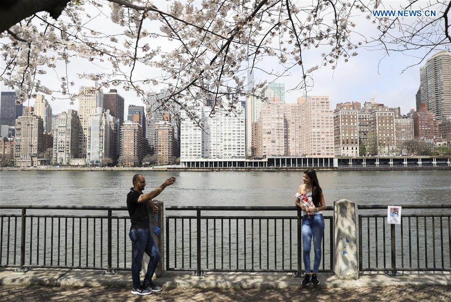 U.S.-NEW YORK-CHERRY BLOSSOM FESTIVAL