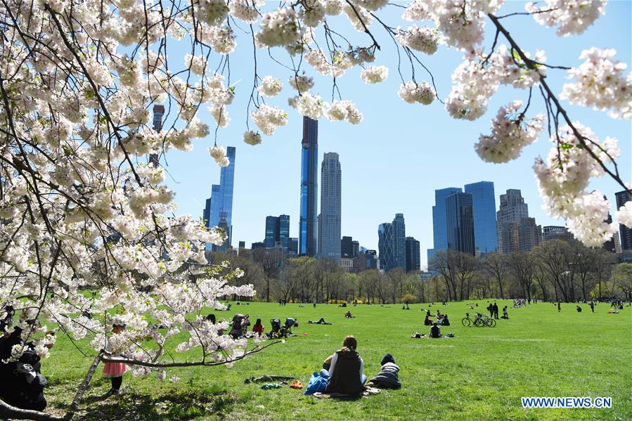  U.S.-NEW YORK-SPRING-SCENERY