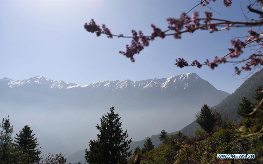 CHINA-TIBET-GYIRONG-SCENERY (CN)