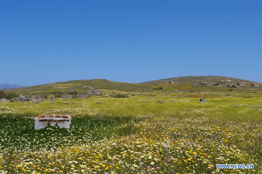 GREECE-CULTURE-ARCHAEOLOGY-DELOS