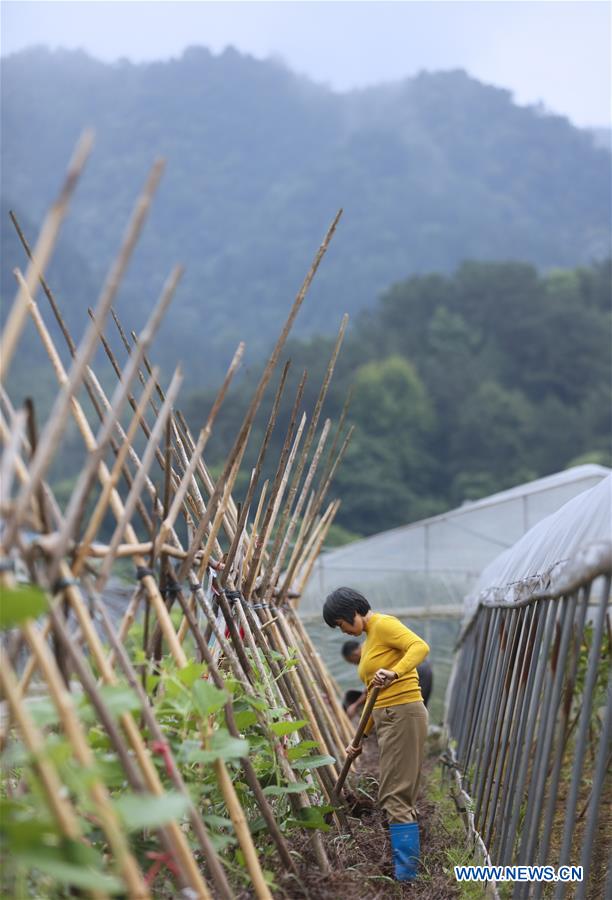 CHINA-JIANGXI-RUIJIN-HUAWU VILLAGE-POVERTY ALLEVIATION (CN)