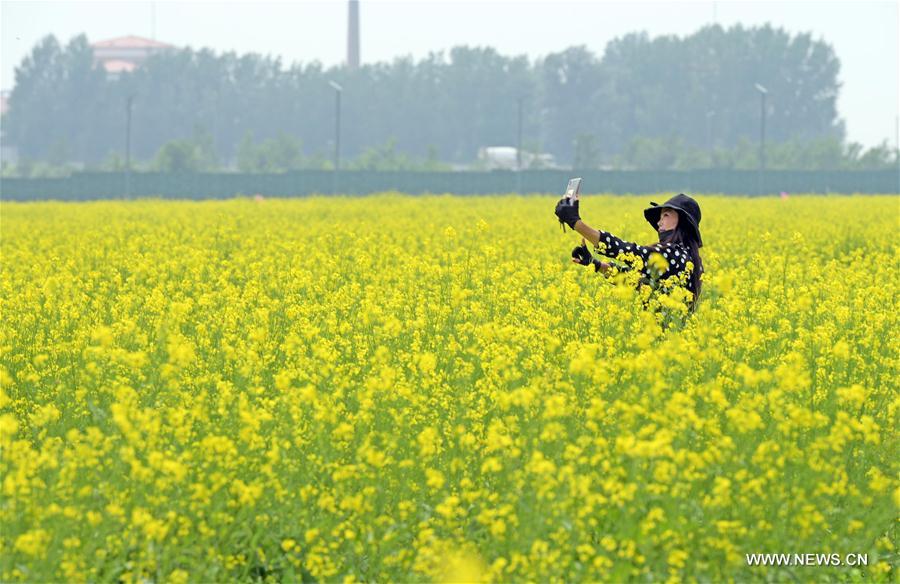 CHINA-SHENYANG-COLE FLOWERS(CN)