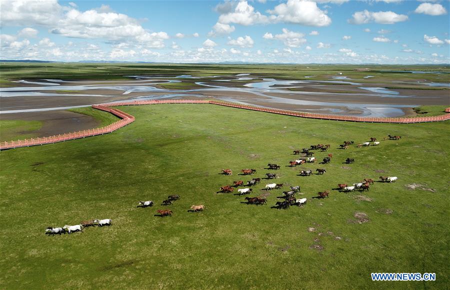 CHINA-GANSU-MAQU-HEQU HORSES (CN)