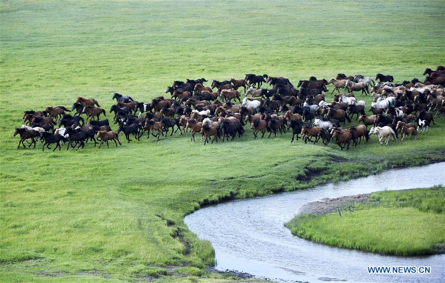 CHINA-INNER MONGOLIA-HORSES (CN)