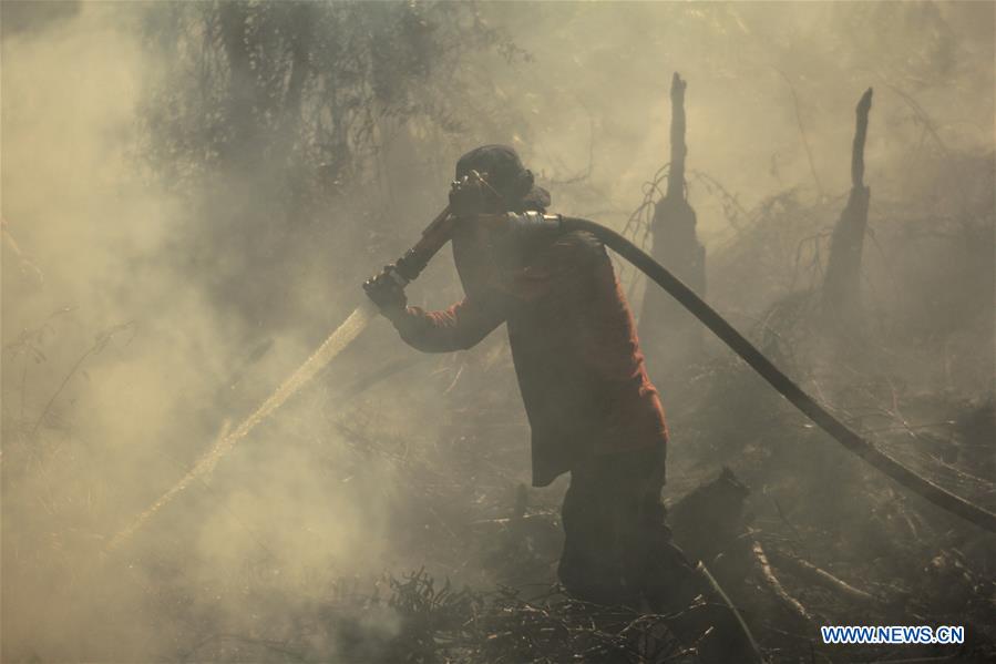 INDONESIA-RIAU-PEATLAND FIRE