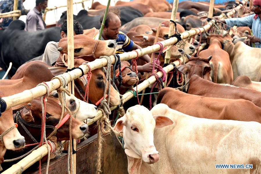 BANGLADESH-DHAKA-EID AL-ADHA-LIVESTOCK MARKET