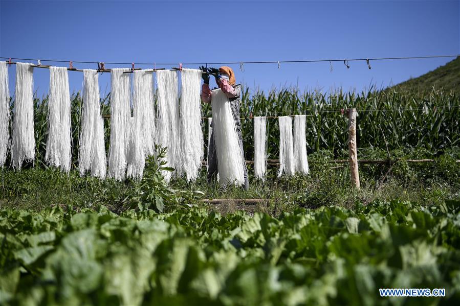 CHINA-NINGXIA-GUYUAN-POTATO VERMICELLI (CN)