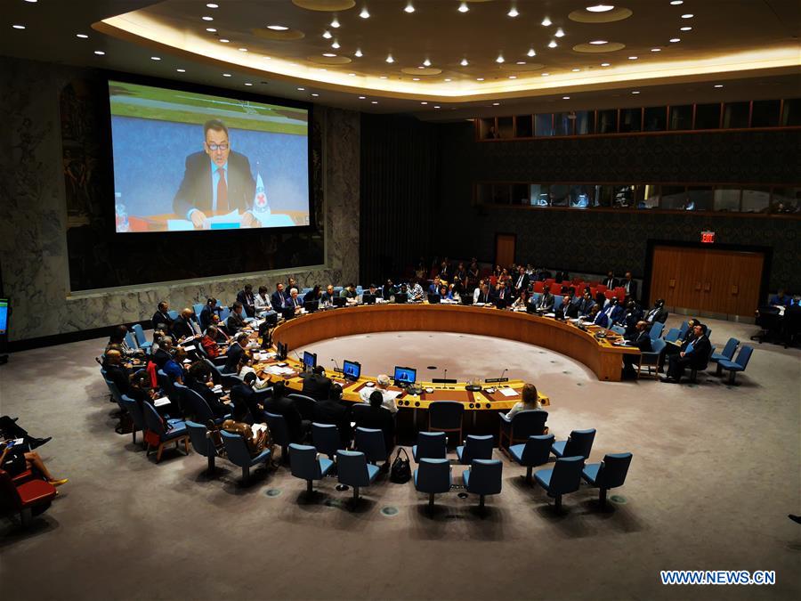 UN-SECURITY COUNCIL-MEETING