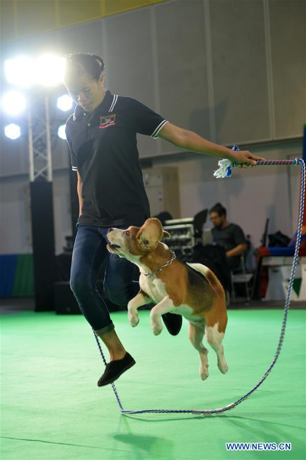 THAILAND-BANGKOK-PET EXPO