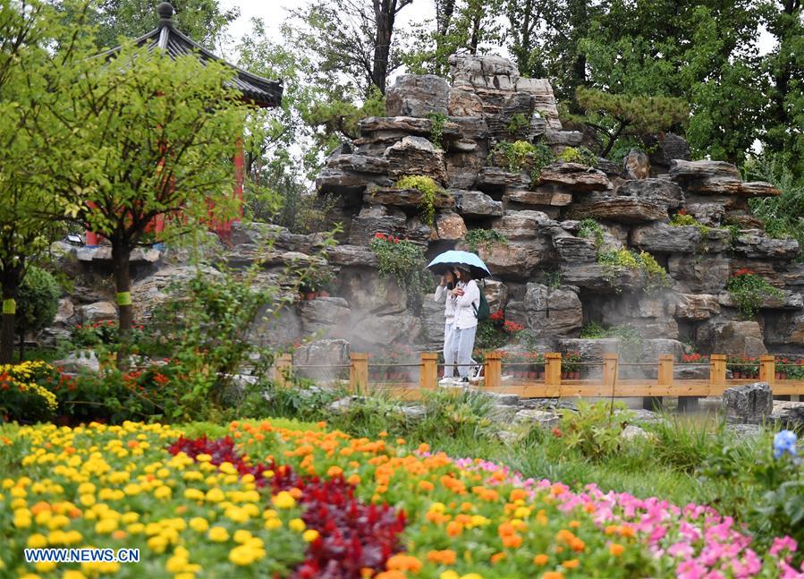 CHINA-BEIJING-HORTICULTURAL EXPO-NINGXIA DAY (CN)