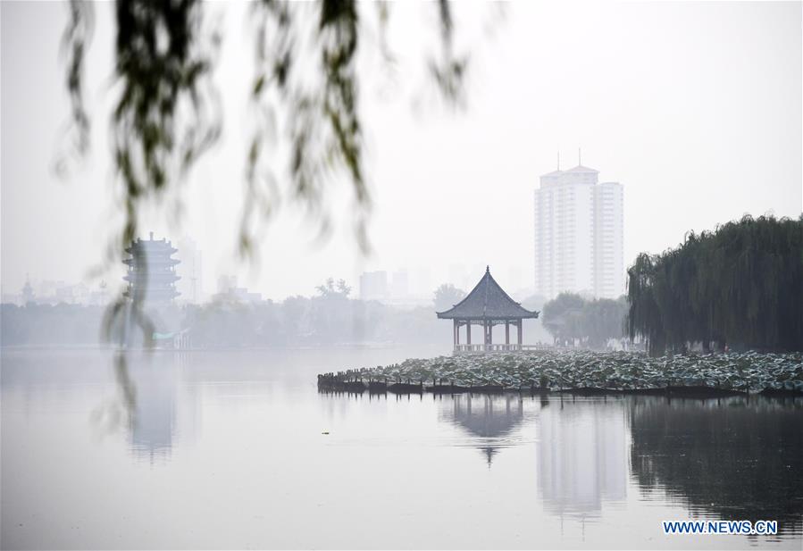 CHINA-SHANDONG-JINAN-DAMING LAKE-MORNING FOG (CN)