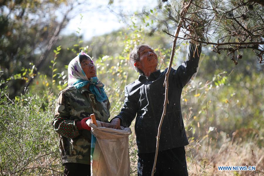 CHINA-LIAONING-FUXIN-FOREST PROTECTION (CN)