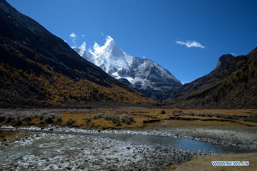 CHINA-SICHUAN-DAOCHENG- AUTUMN SCENERY (CN)