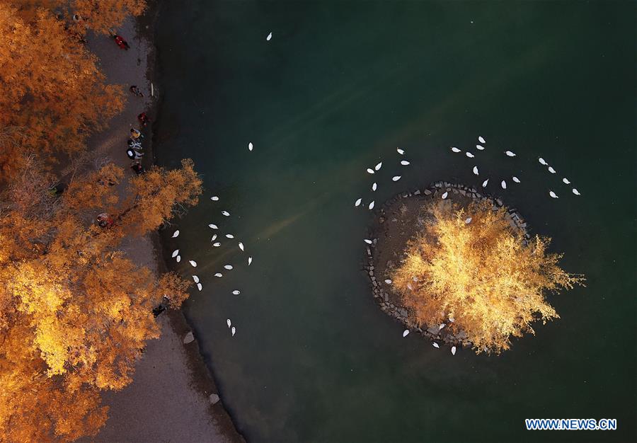 CHINA-JIUQUAN-AUTUMN SCENERY (CN)