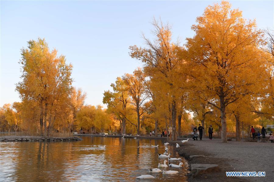 CHINA-JIUQUAN-AUTUMN SCENERY (CN)