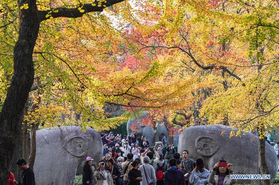 CHINA-NANJING-AUTUMN-XIAOLING MAUSOLEUM-SCENERY (CN)