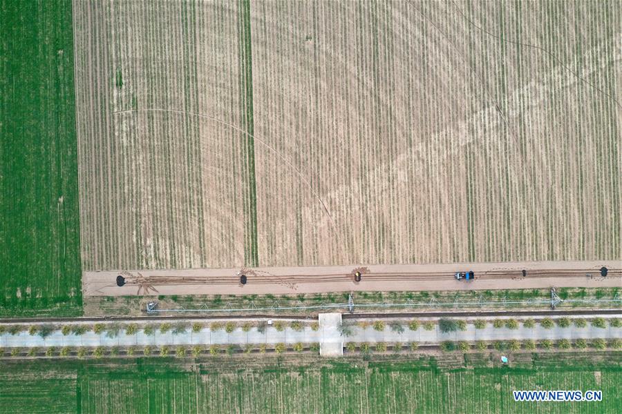 CHINA-HENAN-WINTER WHEAT-SCENERY (CN)