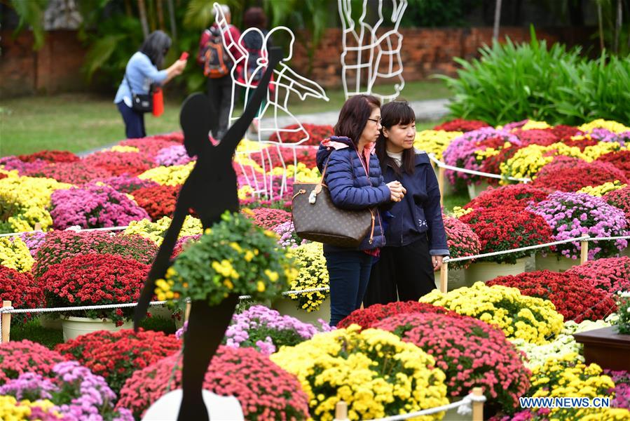 CHINA-TAIPEI-CHRYSANTHEMUM SHOW (CN)