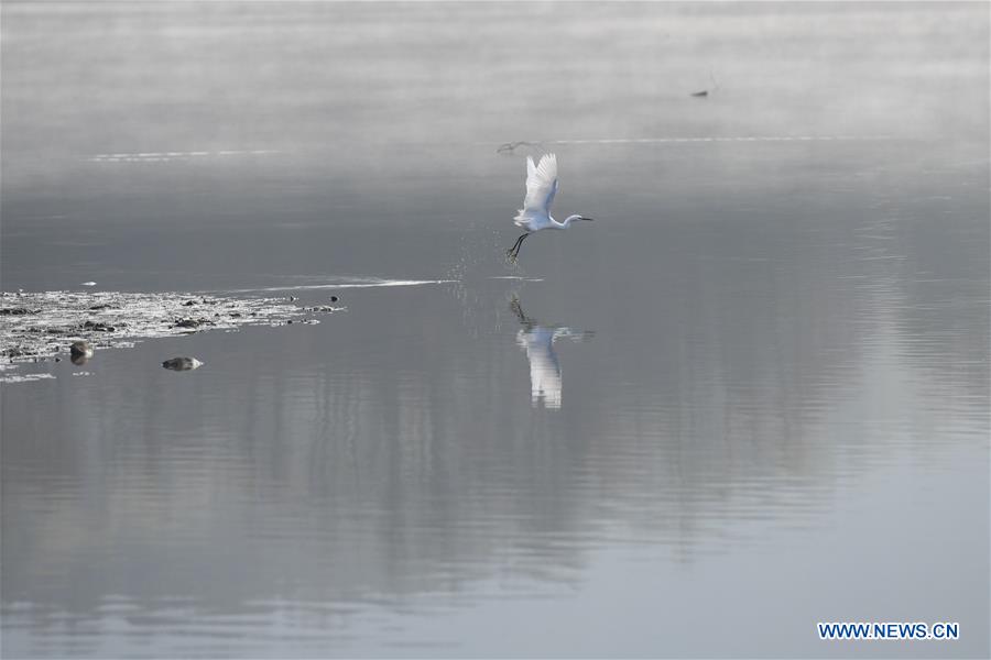 CHINA-ANHUI-WINTER-SCENERY (CN)