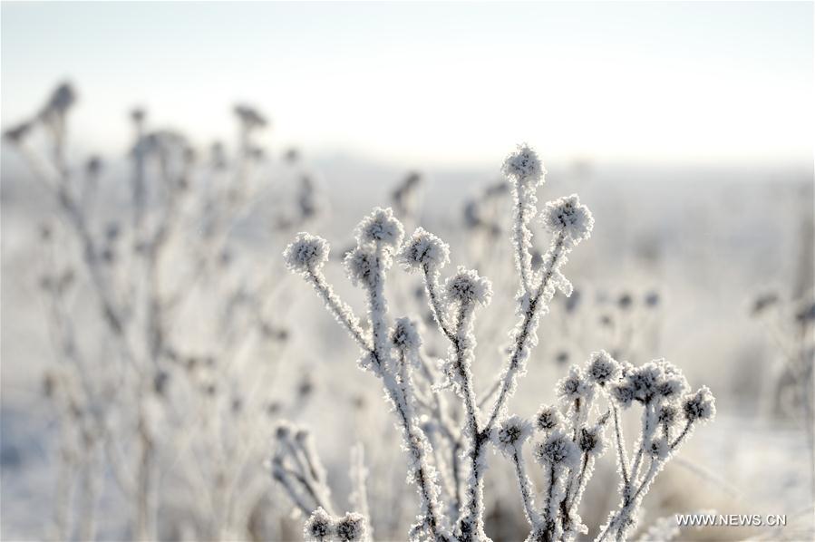 CHINA-XINJIANG-ZHAOSU-WINTER SCENERY (CN)