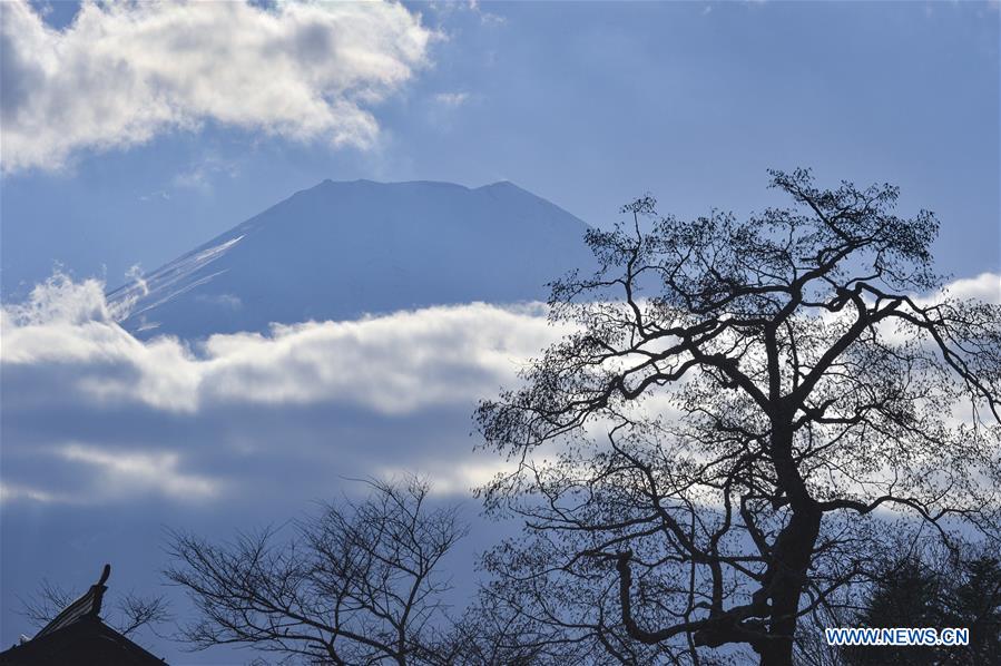 XINHUA PHOTOS OF THE DAY