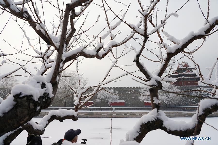 CHINA-BEIJING-SNOW SCENERY (CN)