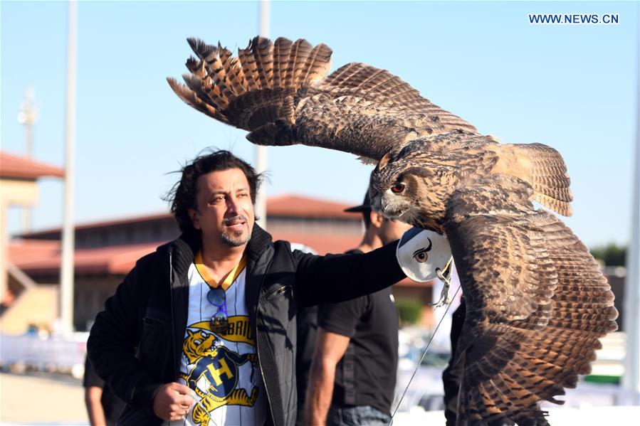 KUWAIT-MUBARAK AL-KABEER GOVERNORATE-RAPTOR SHOW