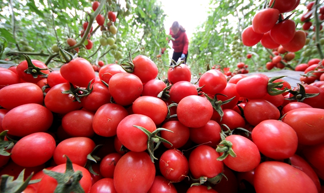 Spring farming across China