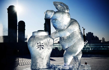 33rd Harbin international ice sculpture contest concludes