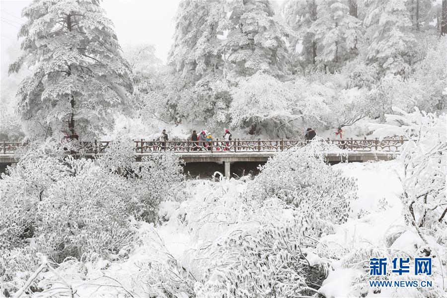 （社会）（7）畅游冰雪瓦屋山