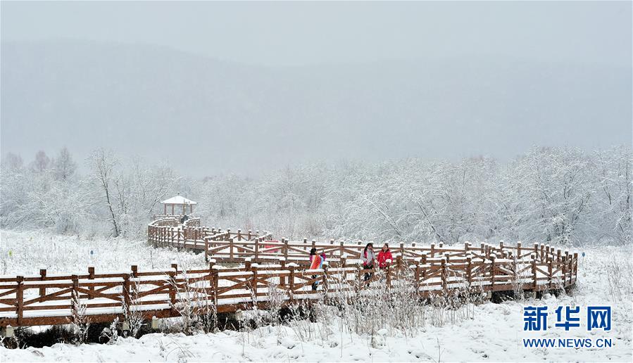 ＃（环境）（1）雪落呼伦贝尔