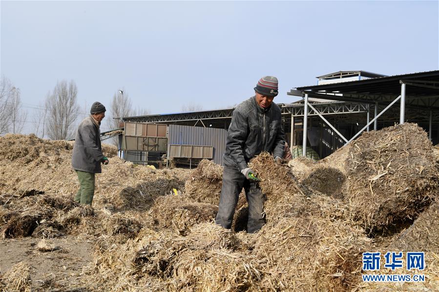 （在习近平新时代中国特色社会主义思想指引下——新时代新气象新作为·乡村振兴战略·图文互动）（2）“与其放火，不如打包”——山西浑源秸秆综合再利用见闻