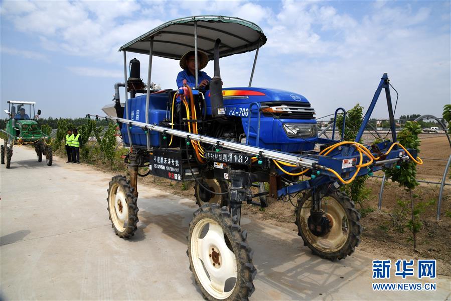 （在习近平新时代中国特色社会主义思想指引下——新时代新作为新篇章·习近平总书记关切事·图文互动）（8）新农事、新希望——夏收前田间新动态扫描