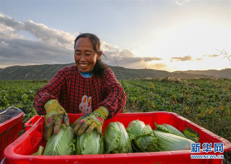 （新华全媒头条·决战决胜脱贫攻坚·督战未摘帽贫困县·图文互动）（1）不获全胜，决不收兵——全国52个挂牌督战贫困县脱贫攻坚纪实