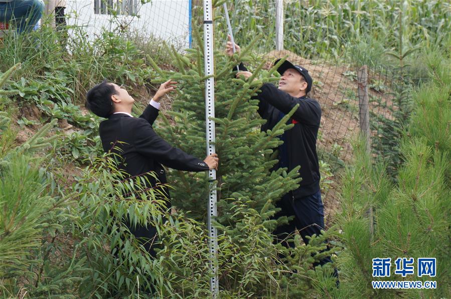 （决战决胜脱贫攻坚·图文互动）（2）甘肃定西黄土高坡上，有片“福州林”