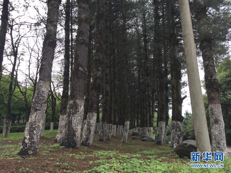 （热点鲜报·图文互动）（4）善洲精神永相传：留下一片绿洲 造福家乡百姓