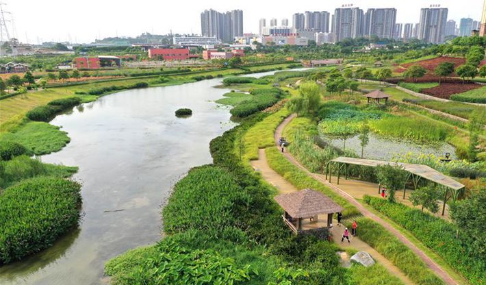 南宁那考河湿地公园：一条“臭水沟”的华丽转身